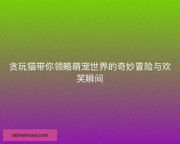 贪玩猫带你领略萌宠世界的奇妙冒险与欢笑瞬间