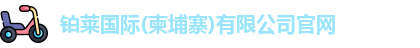 铂莱国际